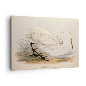 Cuadro sobre lienzo - Impresión de Imagen - Dibujo de una garza blanca sobre un fondo de paisaje natural. - 70x50cm - Dama de los juncos - Decoración de pared moderna para salón y dormitorio ARTTOR