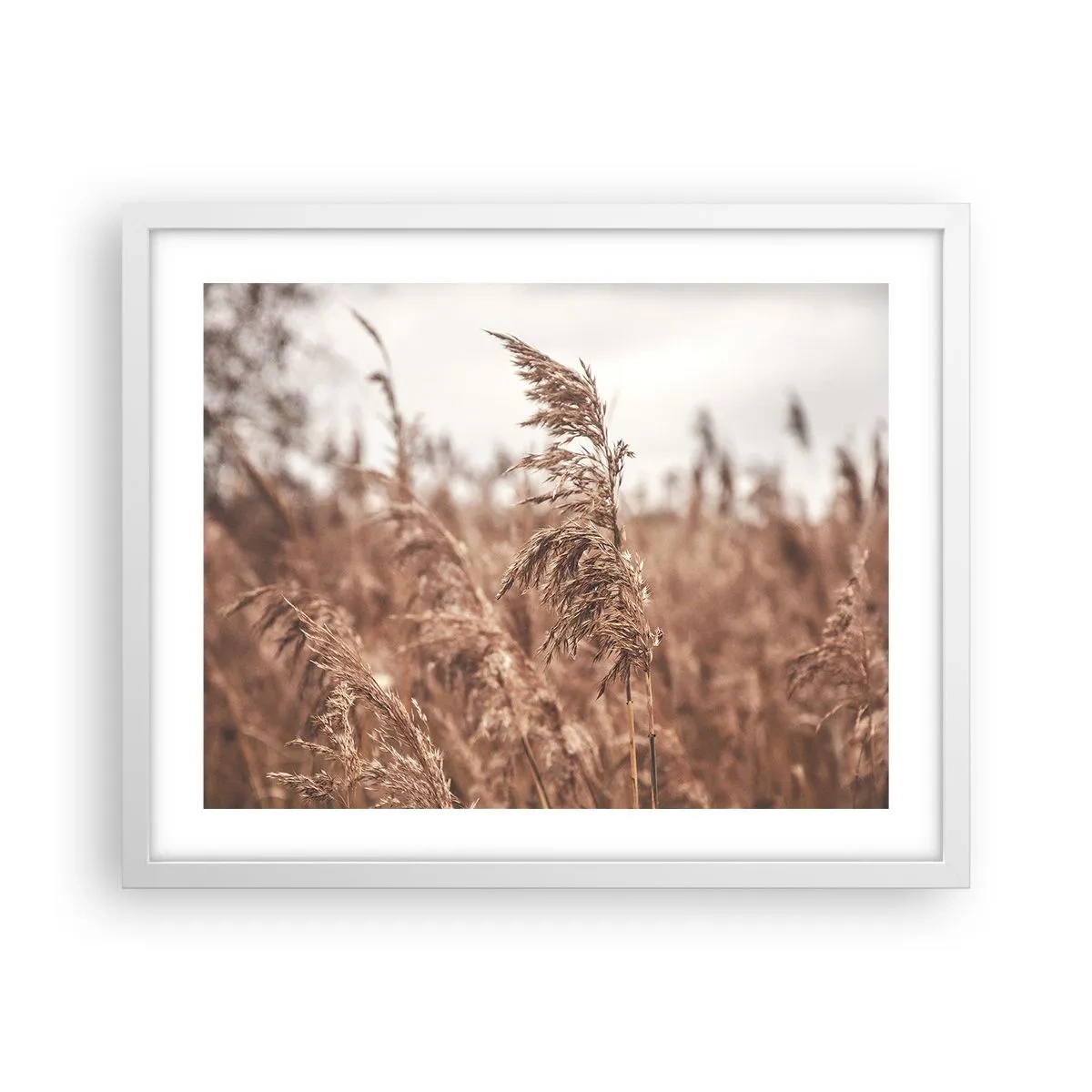 Póster en marco blanco - El otoño ya está en los campos - 50x40 cm