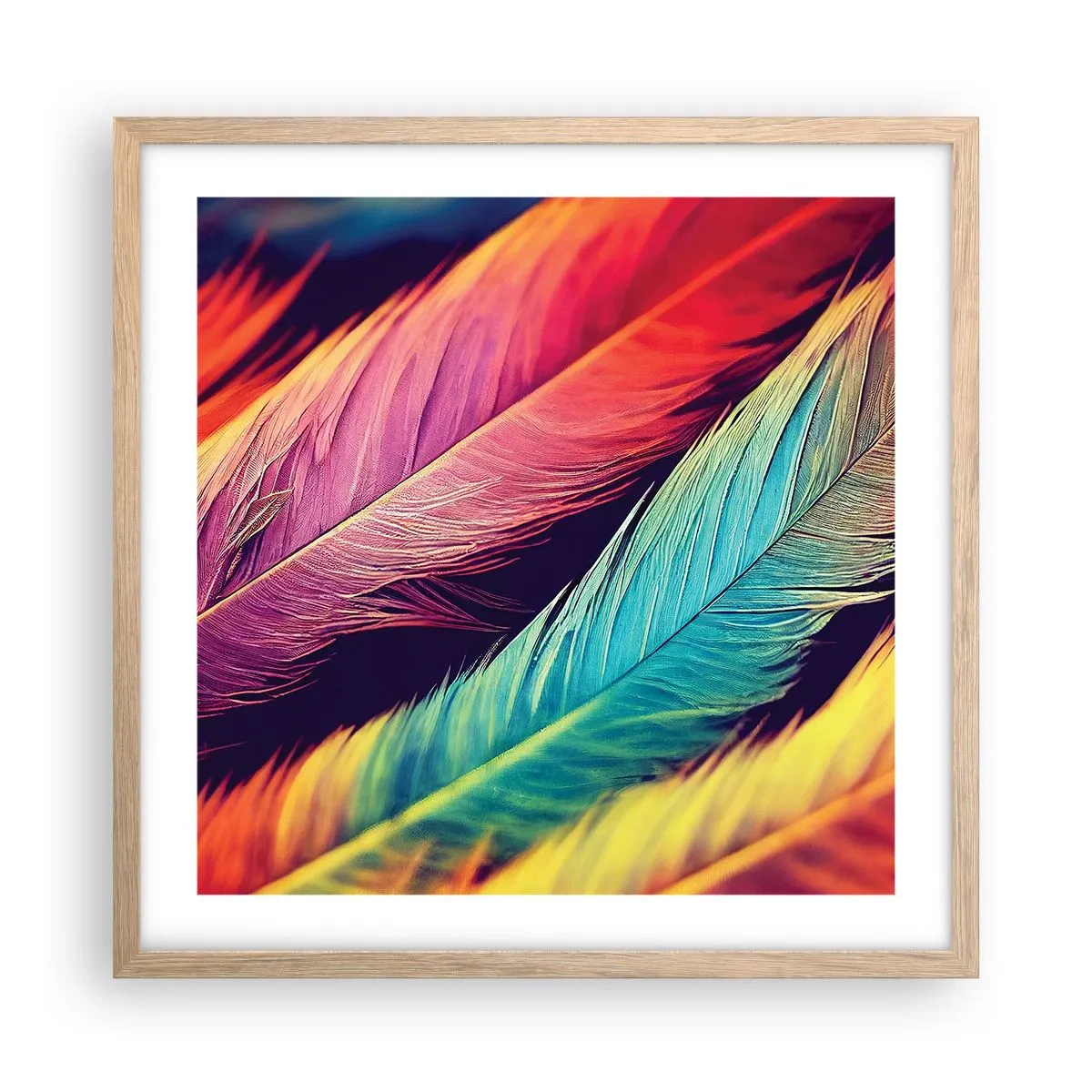 Póster en marco roble claro - Arco iris plumoso - 50x50 cm