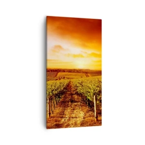Cuadro sobre lienzo - Impresión de Imagen - Delicadamente afrutado con un toque de sol - 55x100 cm
