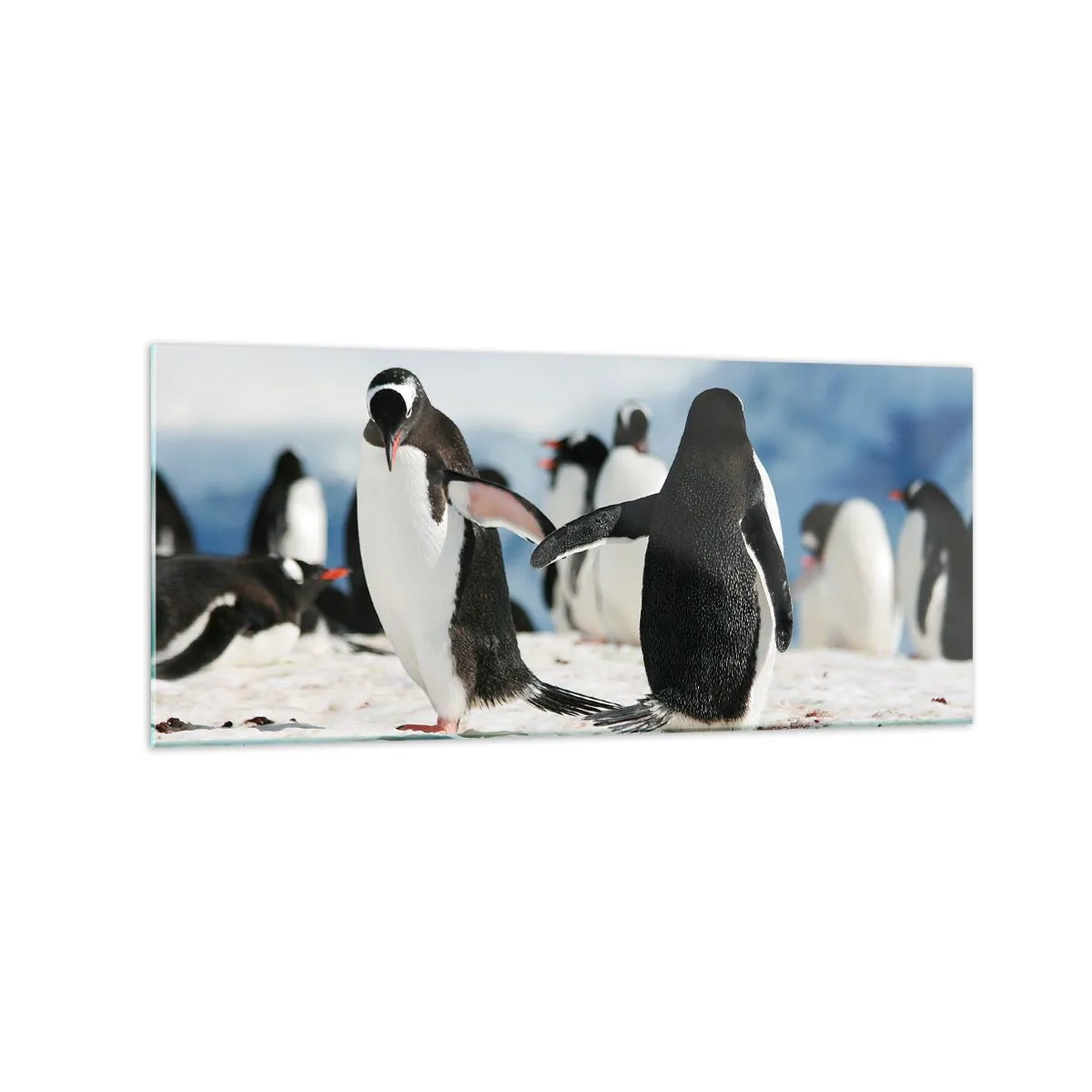 Cuadro sobre vidrio - Impresiones sobre Vidrio - Un grupo de pingüinos en la nieve en un paisaje antártico. - 120x50cm - Bailando en la nieve - Decoración de pared moderna para salón y dormitorio ARTTOR