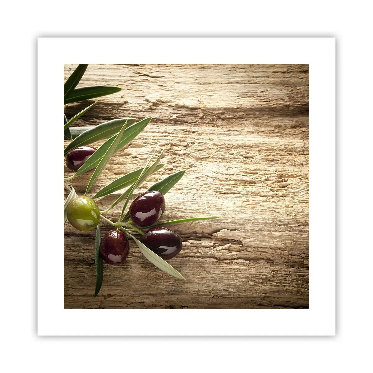 Póster - Directamente de la naturaleza - 40x40 cm