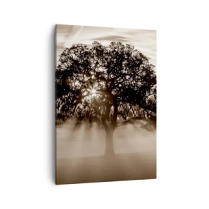 Cuadro sobre lienzo - Impresión de Imagen - Rayos de sol brillando a través de un árbol solitario. - 50x70cm - Un árbol de buenas noticias  - Decoración de pared moderna para salón y dormitorio ARTTOR