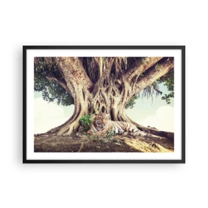 Póster en marco negro - Un tigre descansando bajo un árbol extendido - 70x50cm - Una visión desde el Génesis - Decoración de pared moderna para salón y dormitorio ARTTOR