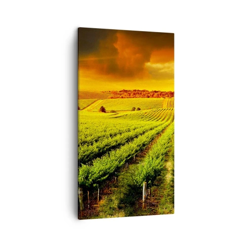 Cuadro sobre lienzo - Impresión de Imagen - Bajo el sol de Australia - 45x80 cm