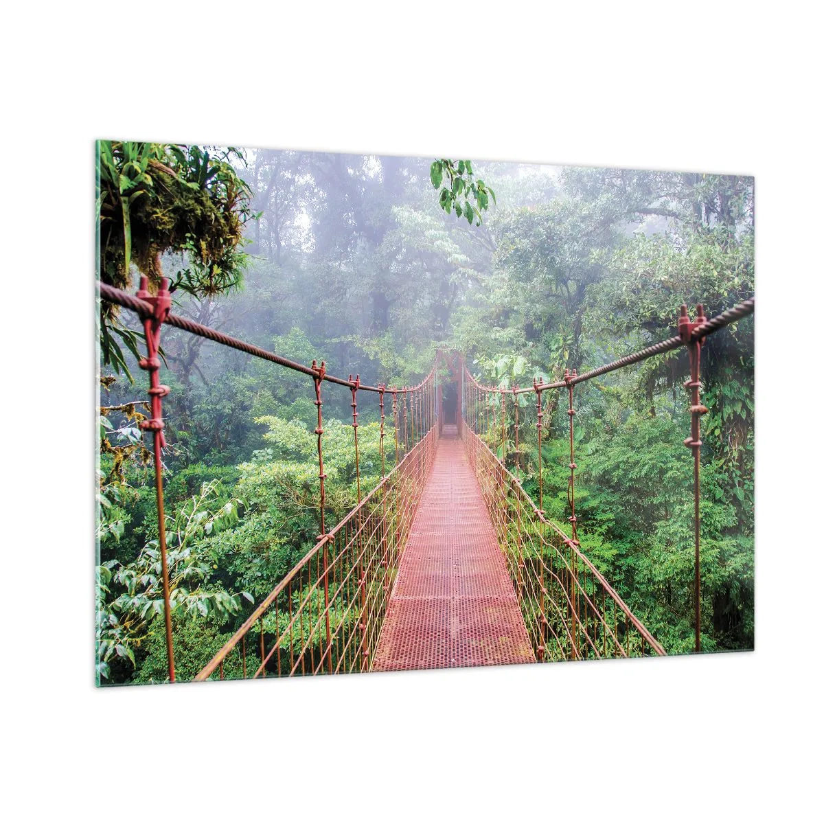 Cuadro sobre vidrio - Impresiones sobre Vidrio - Un puente colgante rojo sobre una jungla verde en la niebla. - 100x70cm - Suspendido sobre las copas - Decoración de pared moderna para salón y dormitorio ARTTOR