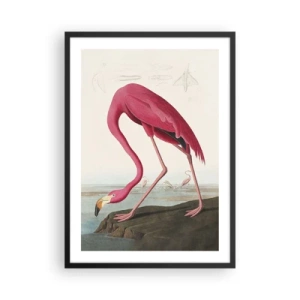 Póster en marco negro - Un flamenco rosado frente a un paisaje natural. - 50x70cm - Creación asombrosa - Decoración de pared moderna para salón y dormitorio ARTTOR