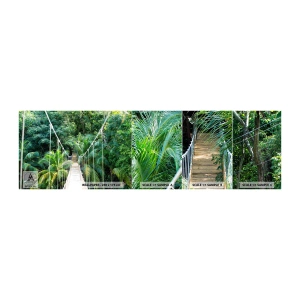 Muestra De Fotomural Standard Eco - ¡Bienvenido a la selva! - Paisaje, Selva, Honduras - 100x30 cm