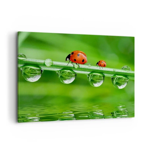 Cuadro sobre lienzo - Impresión de Imagen - Mariquitas sobre una brizna de hierba con gotas de rocío en un entorno natural. - 100x70cm - En el camino todo el verano - Decoración de pared moderna para salón y dormitorio ARTTOR