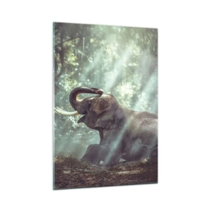 Cuadro sobre vidrio - Impresiones sobre Vidrio - Un niño con un libro y un elefante en un entorno forestal. - 50x70cm - Y escucha esto... - Decoración de pared moderna para salón y dormitorio ARTTOR