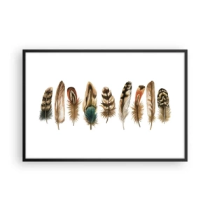 Póster en marco negro - Estudio de plumas - 91x61 cm