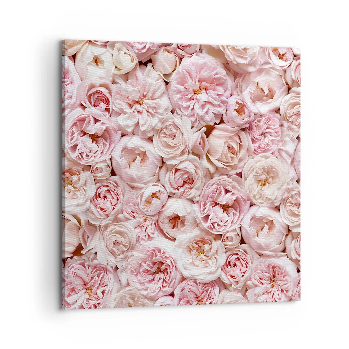 Cuadro sobre lienzo - Impresión de Imagen - Salpicado de rosas - 60x60 cm