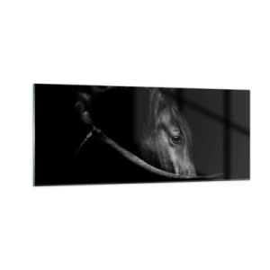 Cuadro sobre vidrio - Impresiones sobre Vidrio - Príncipe negro - 100x40 cm