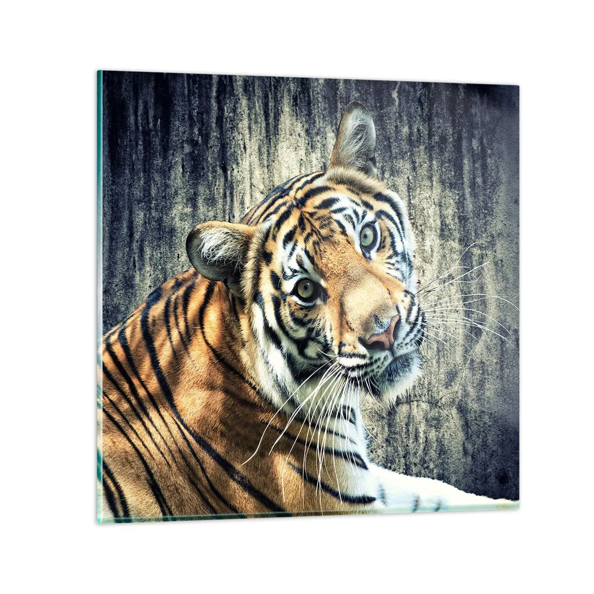 Cuadro sobre vidrio - Impresiones sobre Vidrio - Retrato en corrientes de luz - 70x70 cm