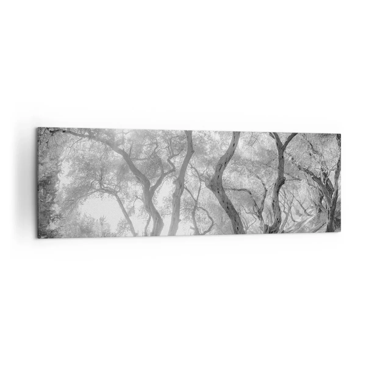 Cuadro sobre lienzo - Impresión de Imagen - Vista en blanco y negro de árboles en un olivar con rayos de sol. - 160x50cm - En un olivar - Decoración de pared moderna para salón y dormitorio ARTTOR