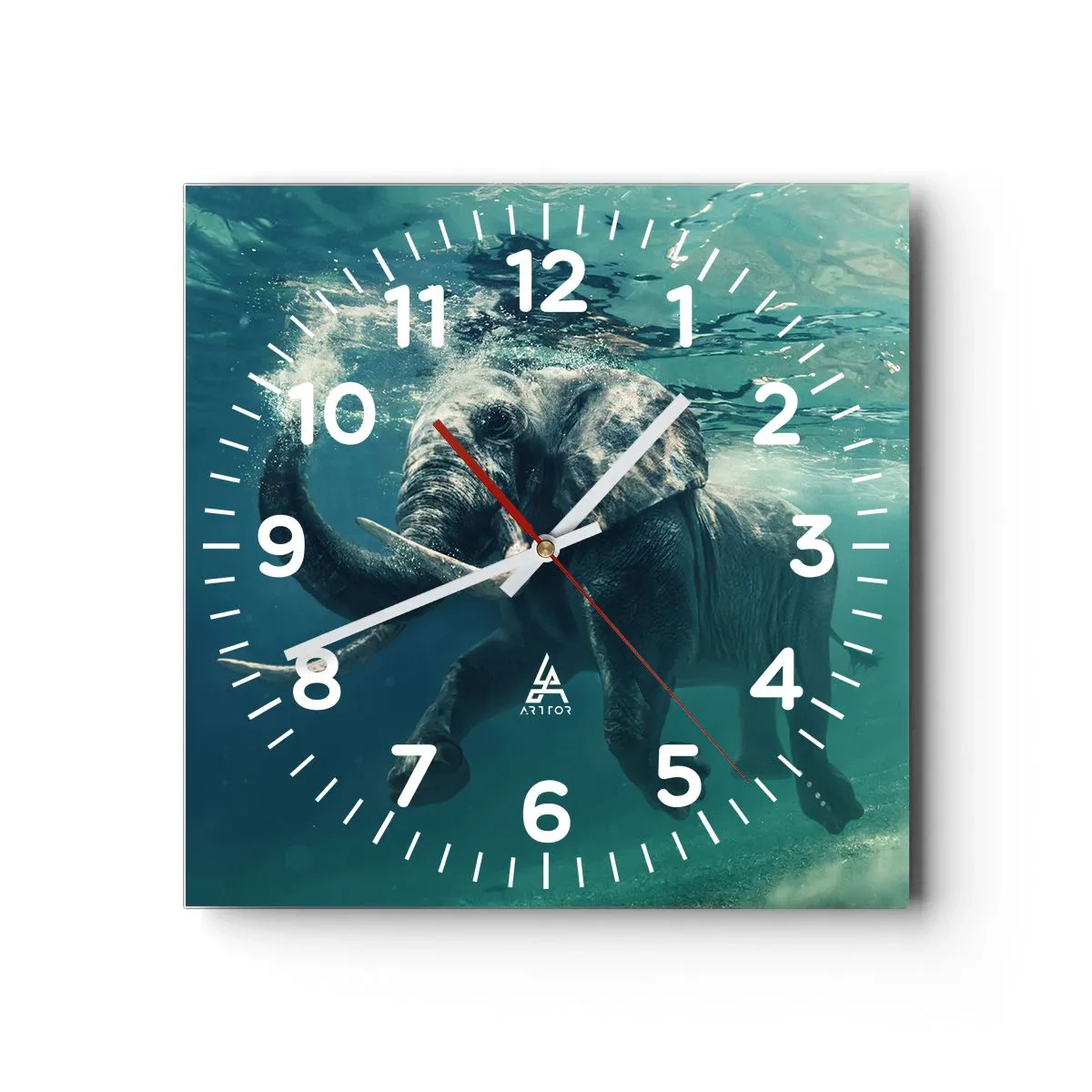 Reloj de pared - Reloj de vidrio - A todos nos gusta nadar - 40x40 cm