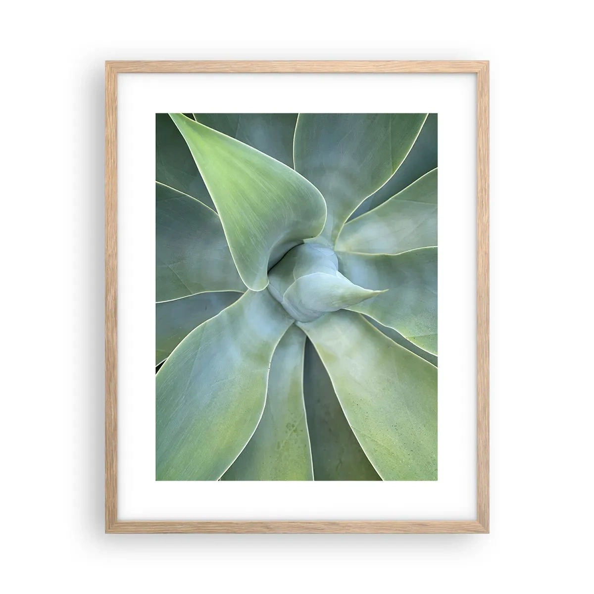 Póster en marco roble claro - El nacimiento del verde - 40x50 cm