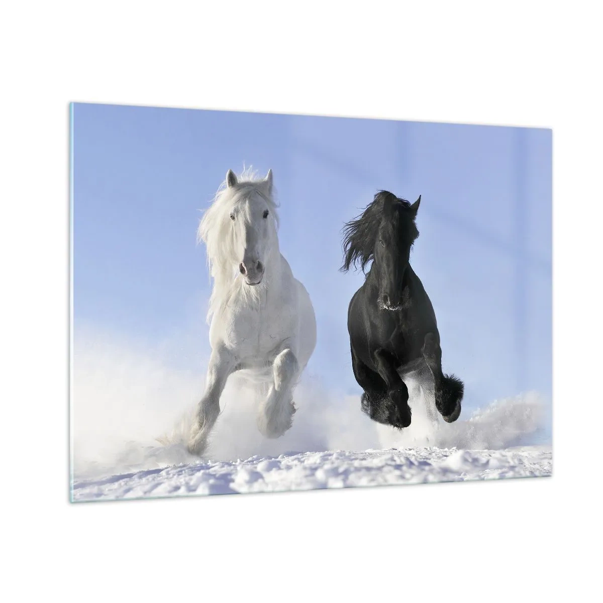 Cuadro sobre vidrio - Impresiones sobre Vidrio - Un caballo blanco y negro corriendo por la nieve en un paisaje invernal. - 100x70cm - Galope blanco y negro - Decoración de pared moderna para salón y dormitorio ARTTOR