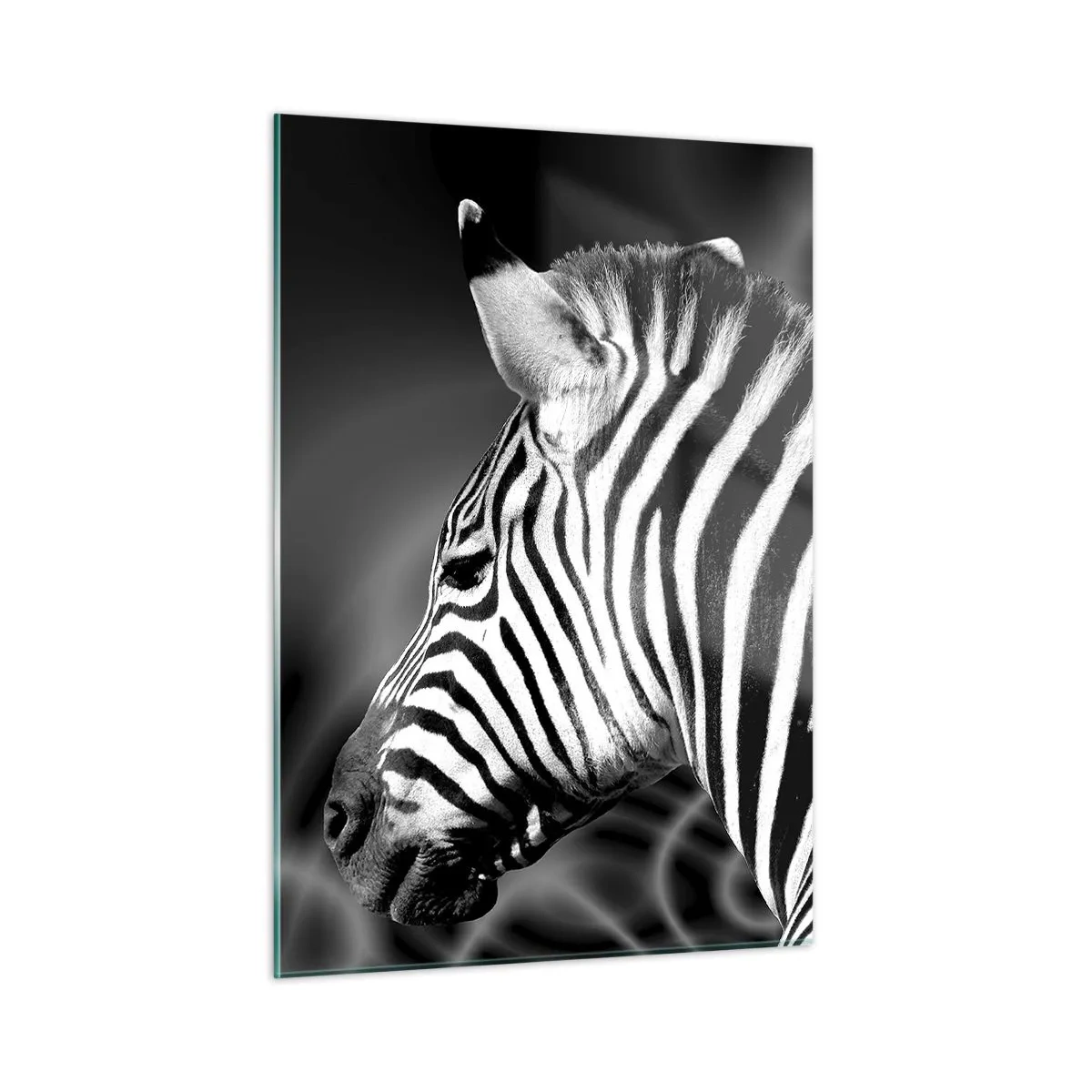 Cuadro sobre vidrio - Impresiones sobre Vidrio - Cebra en estética blanco y negro - 50x70cm - El blanco es blanco, el negro es negro - Decoración de pared moderna para salón y dormitorio ARTTOR