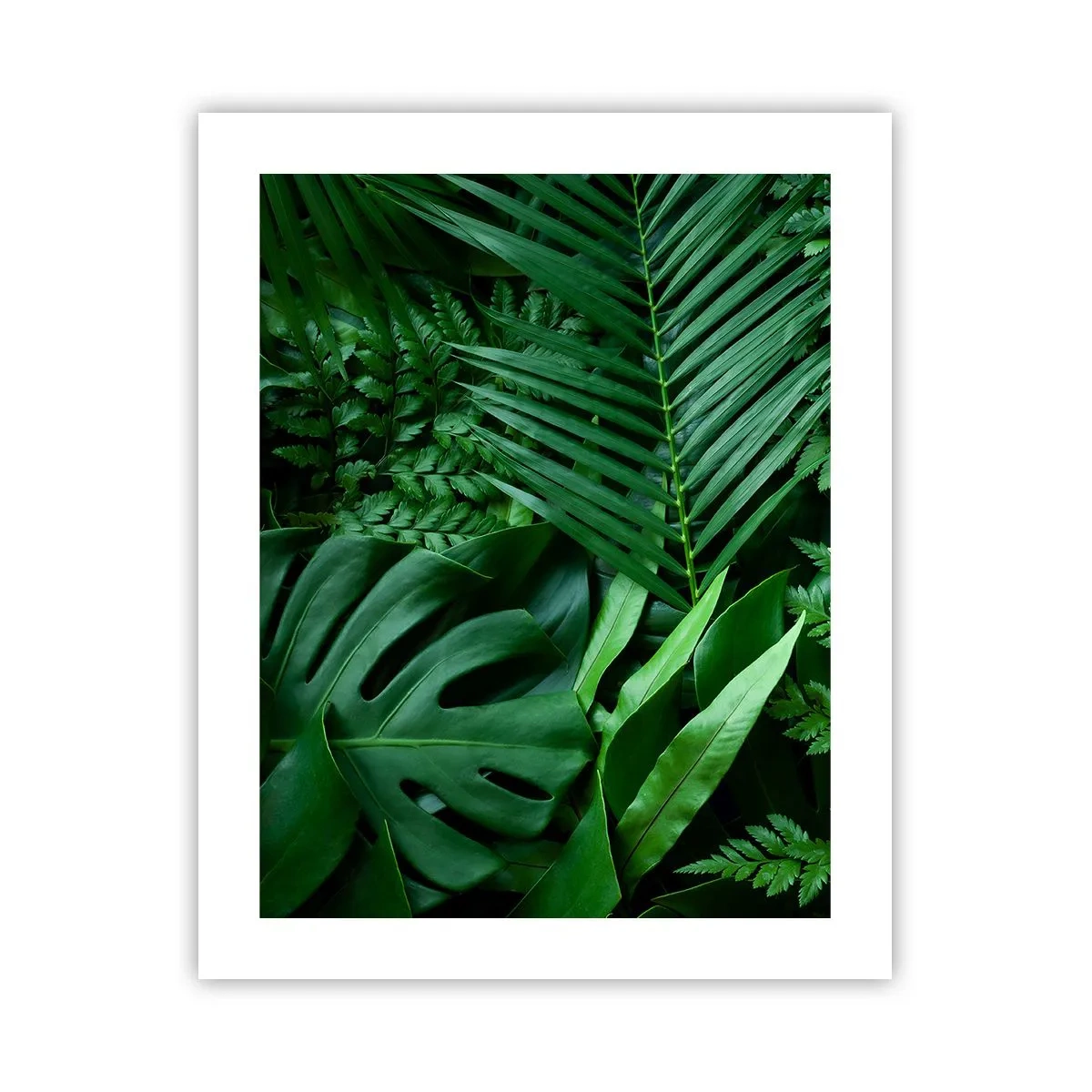 Póster - Abrazo verde - 40x50 cm