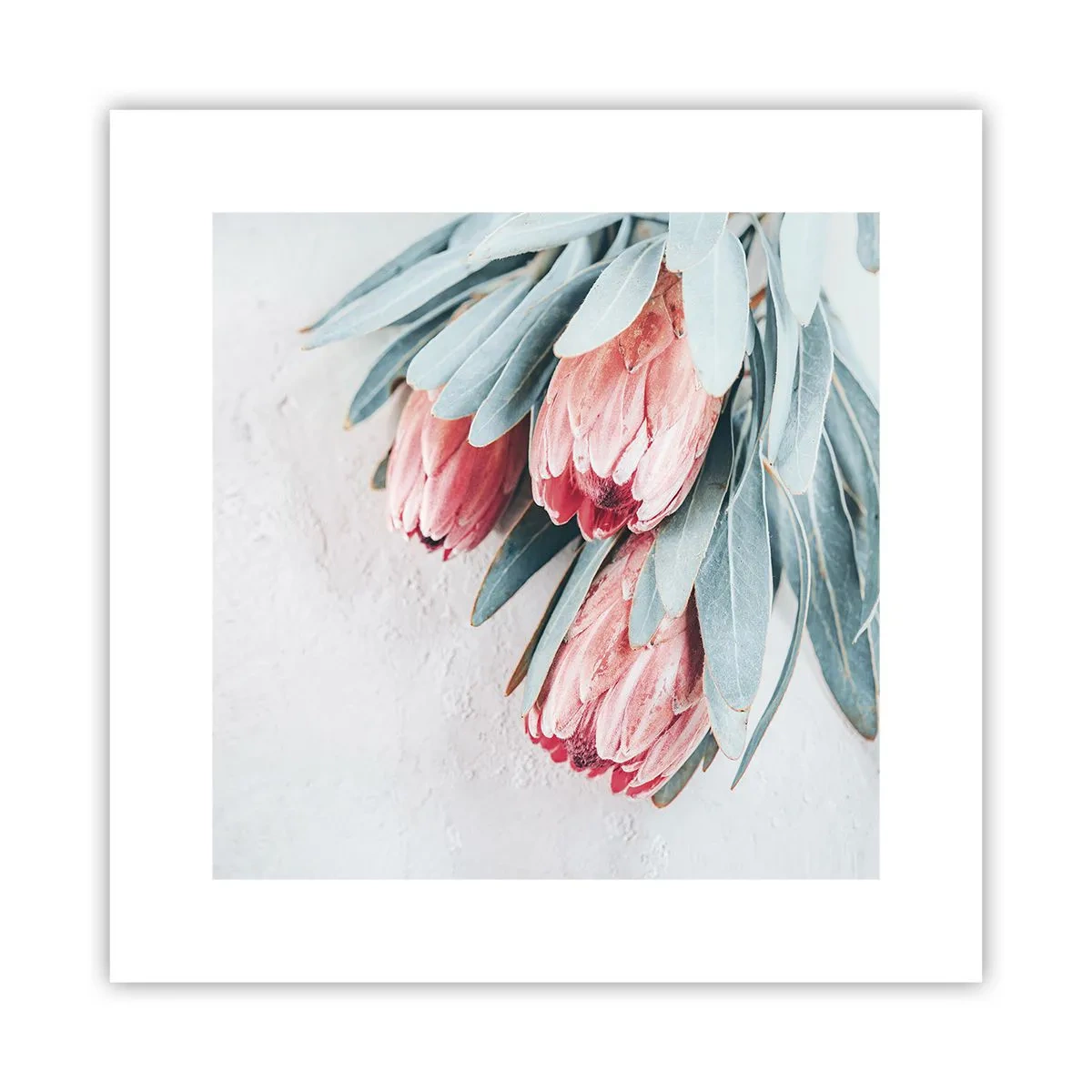 Póster - Avergonzada de su propia belleza - 30x30 cm