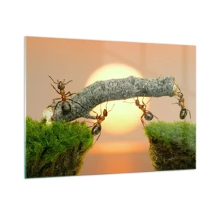 Cuadro sobre vidrio - Impresiones sobre Vidrio - Hormigas construyendo un puente al atardecer - 100x70cm - Trabajar juntos con alegría - Decoración de pared moderna para salón y dormitorio ARTTOR