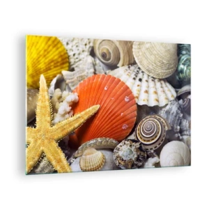 Cuadro sobre vidrio - Impresiones sobre Vidrio - Conchas y estrellas de mar de colores en una composición marina. - 70x50cm - Tesoros del océano - Decoración de pared moderna para salón y dormitorio ARTTOR