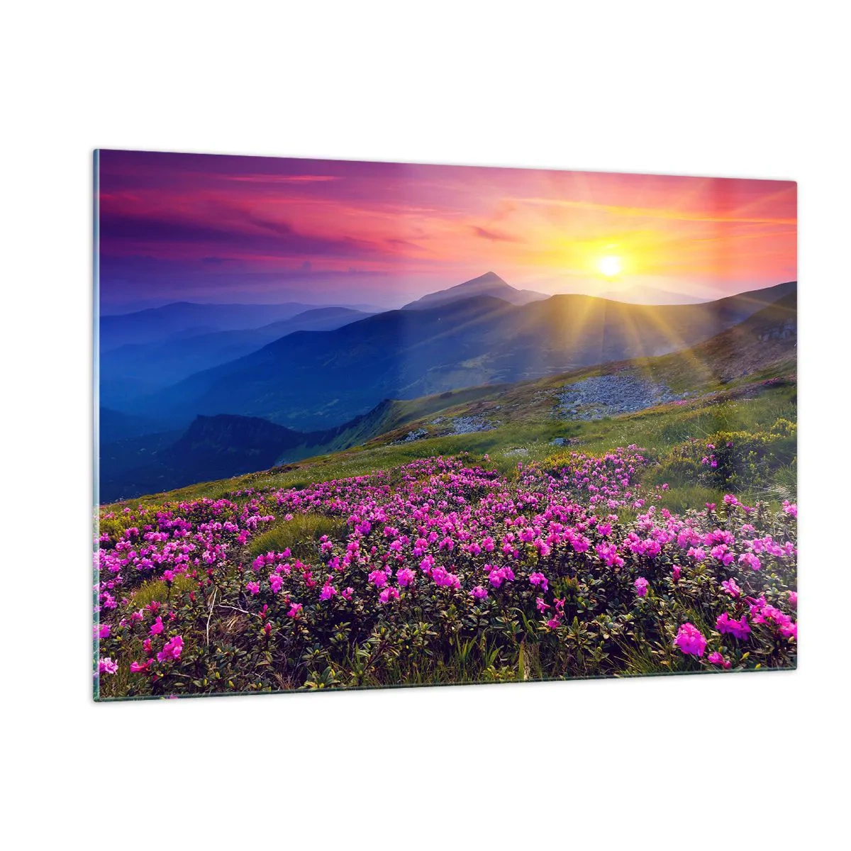 Cuadro sobre vidrio - Impresiones sobre Vidrio - Prados de flores en las montañas al amanecer - 120x80cm - ... Y el aroma a hierbas está por todas partes - Decoración de pared moderna para salón y dormitorio ARTTOR