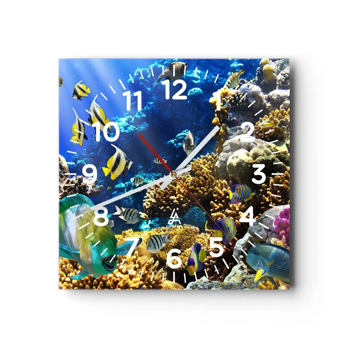 Reloj de pared - Reloj de vidrio - Vacaciones submarinas - 40x40 cm