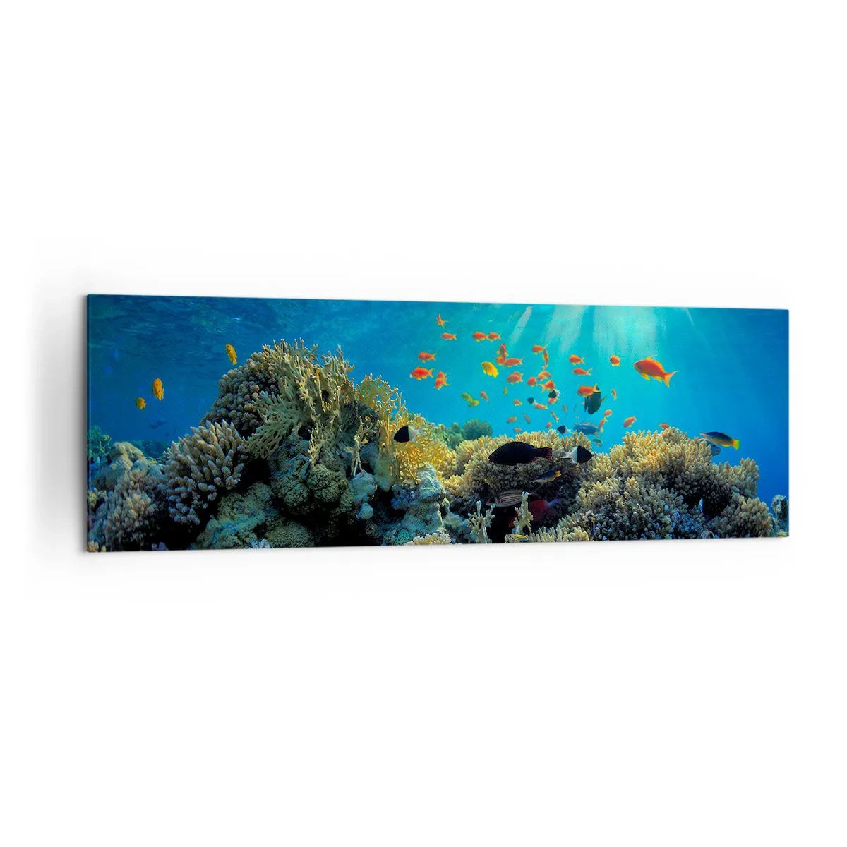 Cuadro sobre lienzo - Impresión de Imagen - Arrecife de coral con peces bajo los rayos del sol bajo el agua. - 160x50cm - Tesoros submarinos - Decoración de pared moderna para salón y dormitorio ARTTOR