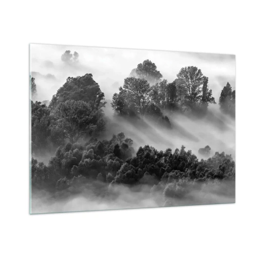 Cuadro sobre vidrio - Impresiones sobre Vidrio - Bosque brumoso a la luz del sol en blanco y negro - 100x70cm - Levantarse del sueño - Decoración de pared moderna para salón y dormitorio ARTTOR
