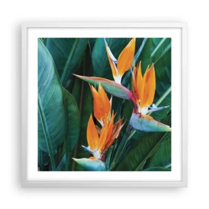 Póster en marco blanco - ¿Es una flor o es un pájaro? - 50x50 cm