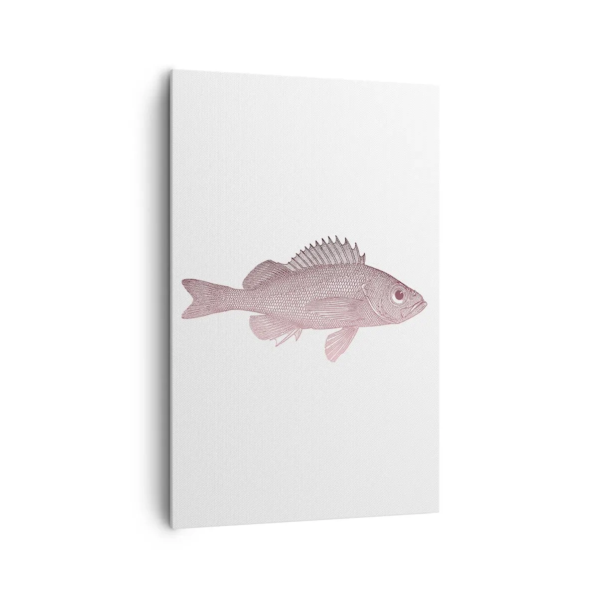Cuadro sobre lienzo - Impresión de Imagen - Ilustración detallada de un pez sobre un fondo blanco. - 80x120cm - Pez de ojos grandes - Decoración de pared moderna para salón y dormitorio ARTTOR