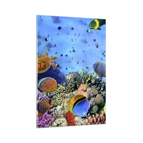 Cuadro sobre vidrio - Impresiones sobre Vidrio - Arrecife de coral con peces de colores y una tortuga marina. - 80x120cm - Y qué sabemos de la vida... - Decoración de pared moderna para salón y dormitorio ARTTOR