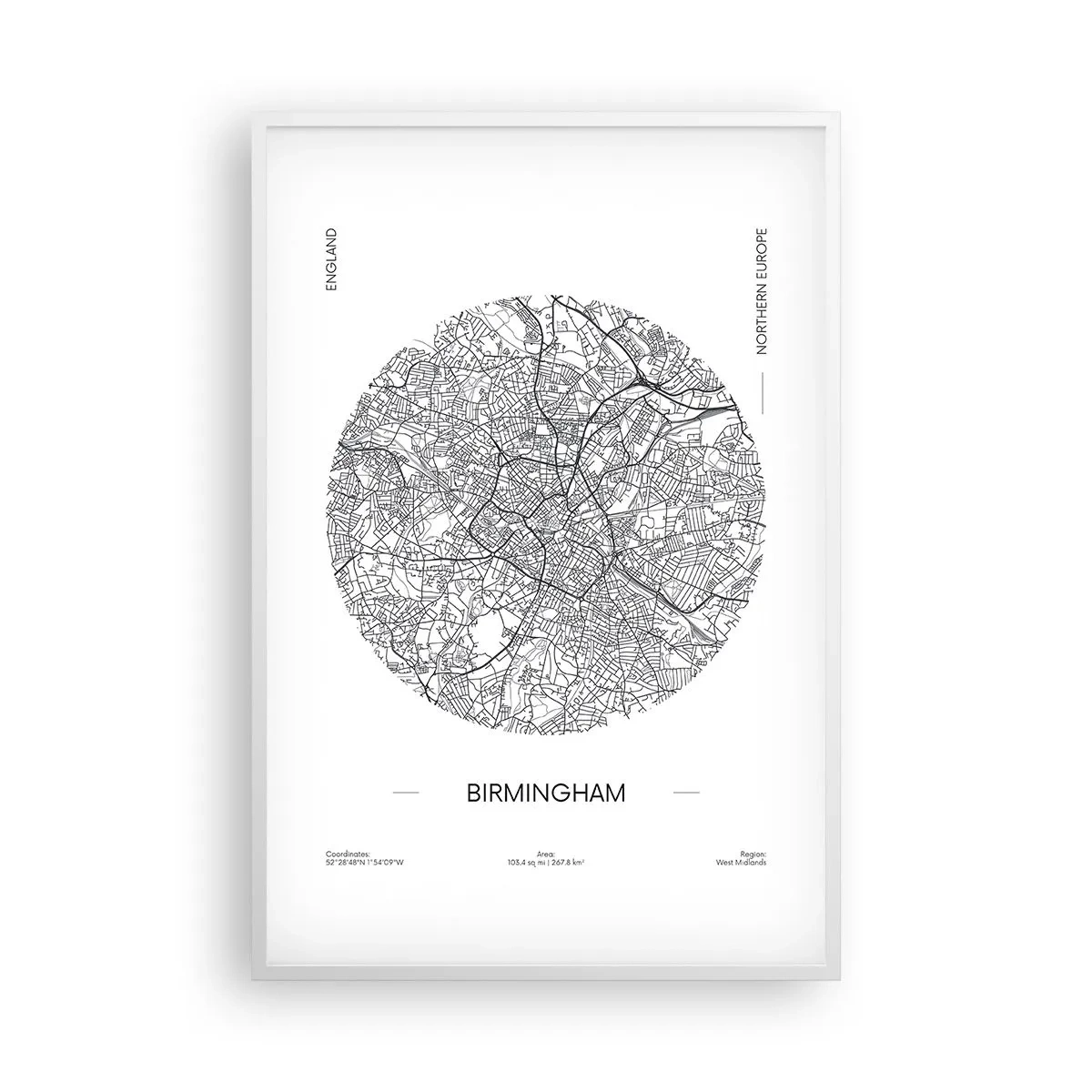 Póster en marco blanco - Anatomía de Birmingham - 61x91 cm
