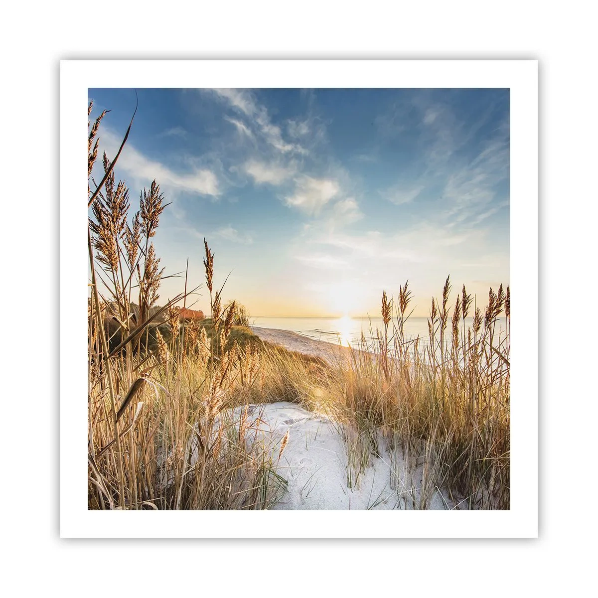 Póster - Playa del norte - 60x60 cm