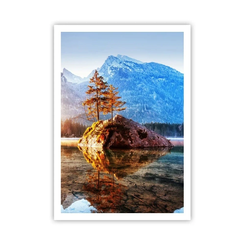 Póster - La naturaleza bajo la luz - 70x100 cm