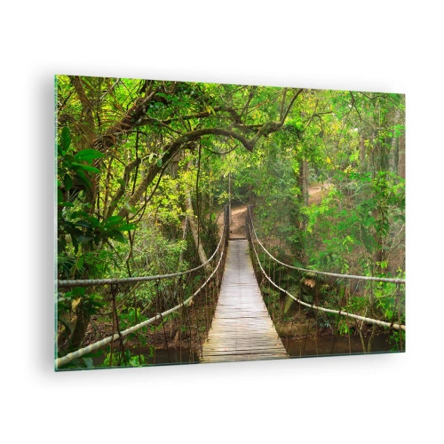 Cuadro sobre vidrio - Impresiones sobre Vidrio - Puente colgante en un bosque tropical - 70x50cm - Porque la vid crece en el jardín - Decoración de pared moderna para salón y dormitorio ARTTOR