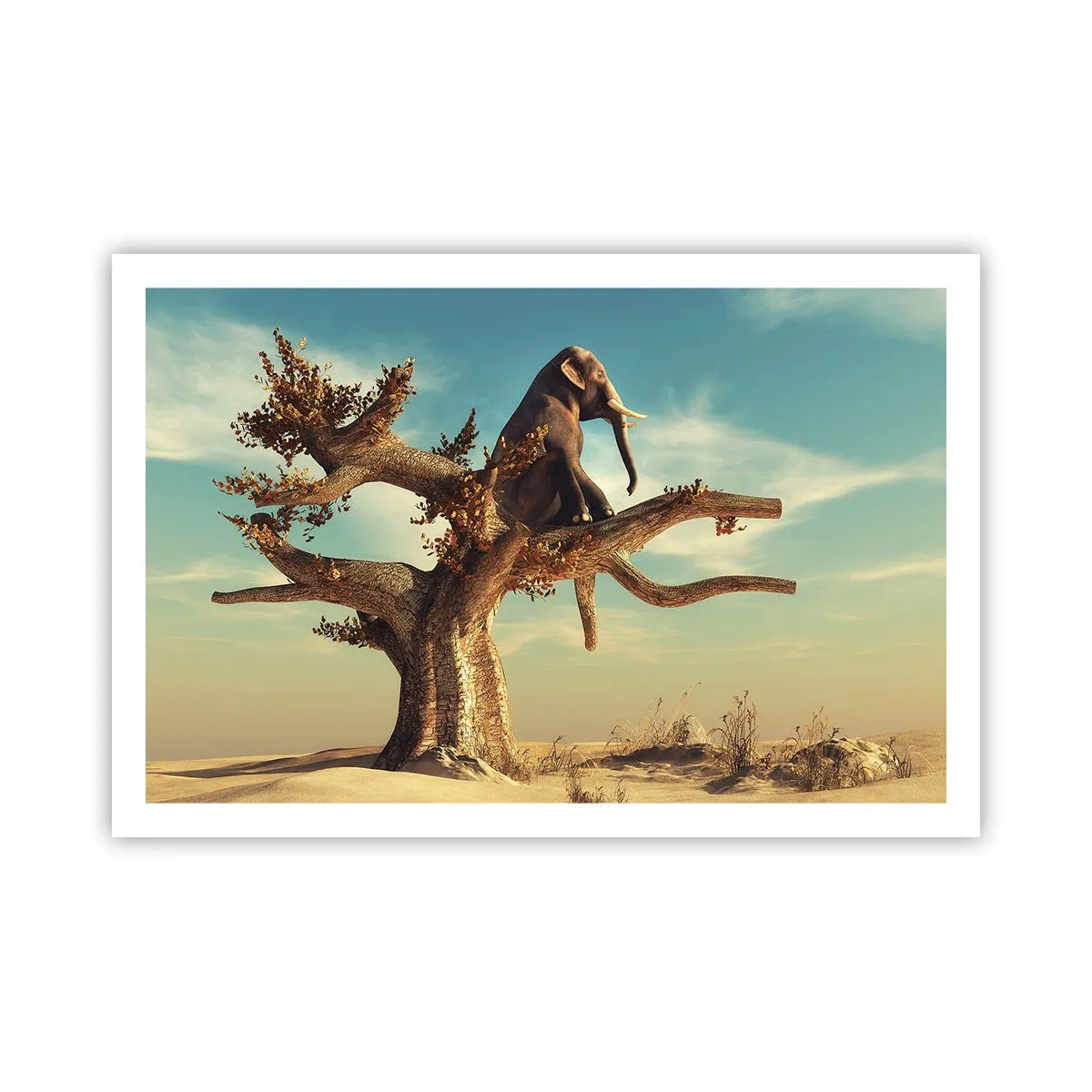 Póster - Un nuevo punto de vista - 91x61 cm