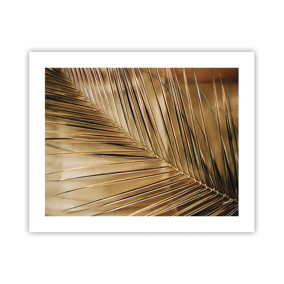 Póster - Una columnata natural - 50x40 cm