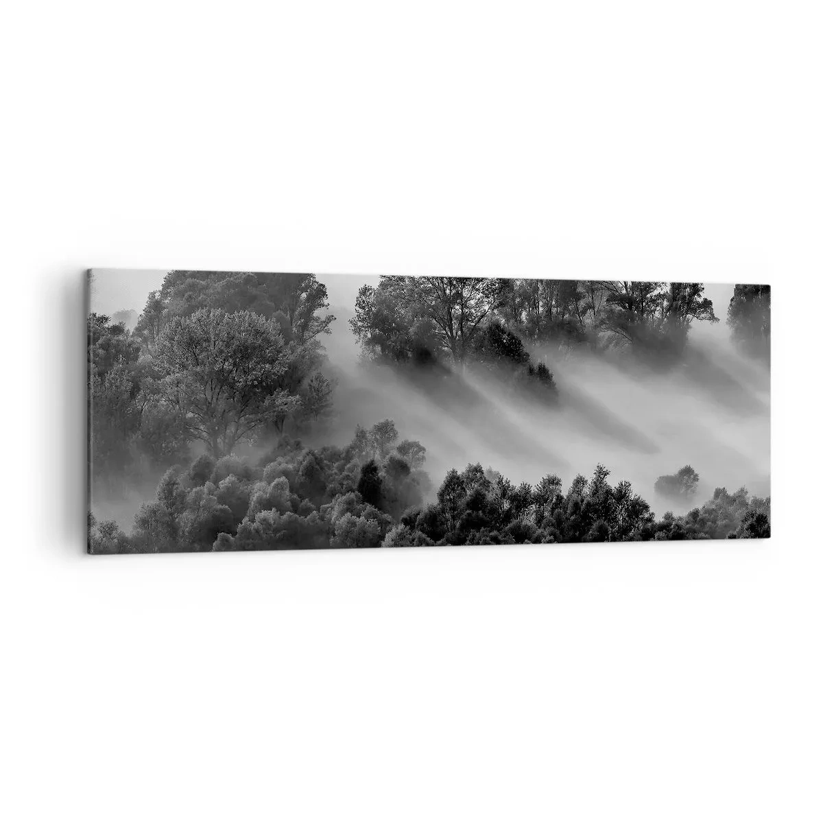 Cuadro sobre lienzo - Impresión de Imagen - Paisaje forestal en blanco y negro en la niebla matutina - 140x50cm - Levantarse del sueño - Decoración de pared moderna para salón y dormitorio ARTTOR