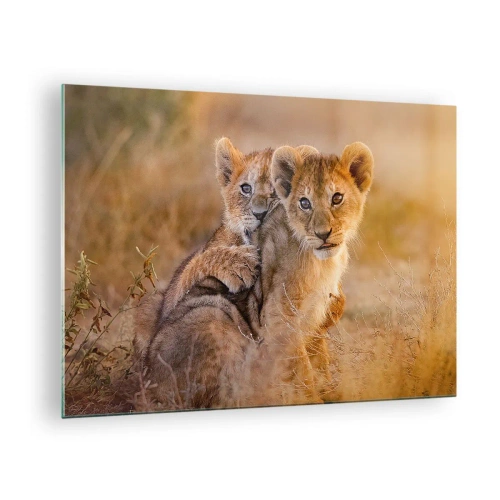 Cuadro sobre vidrio - Impresiones sobre Vidrio - Dos cachorros de león en un entorno natural de sabana. - 70x50cm - ¡No molestar! Nos estamos divirtiendo - Decoración de pared moderna para salón y dormitorio ARTTOR