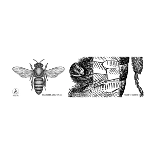 Muestra de fotomural autoadhesivo Deluxe Sticker - Retrato de insecto - Abeja, Insecto, minimalista - 100x30 cm
