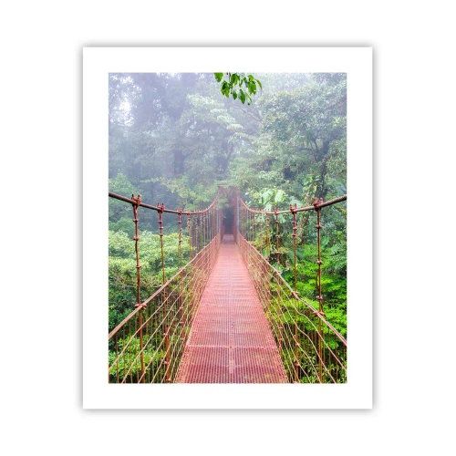 Póster - Suspendido sobre las copas - 40x50 cm