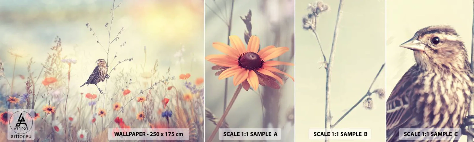 Muestra De Fotomural Standard Eco - Retrato de pájaro con prado de fondo - Pájaro, Prado, Naturaleza - 100x30 cm