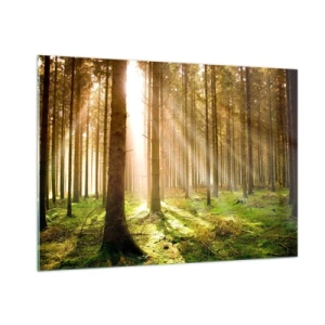 Cuadro sobre vidrio - Impresiones sobre Vidrio - Los rayos del sol penetran a través de los árboles en el bosque. - 100x70cm - Los elfos se aproximan - Decoración de pared moderna para salón y dormitorio ARTTOR