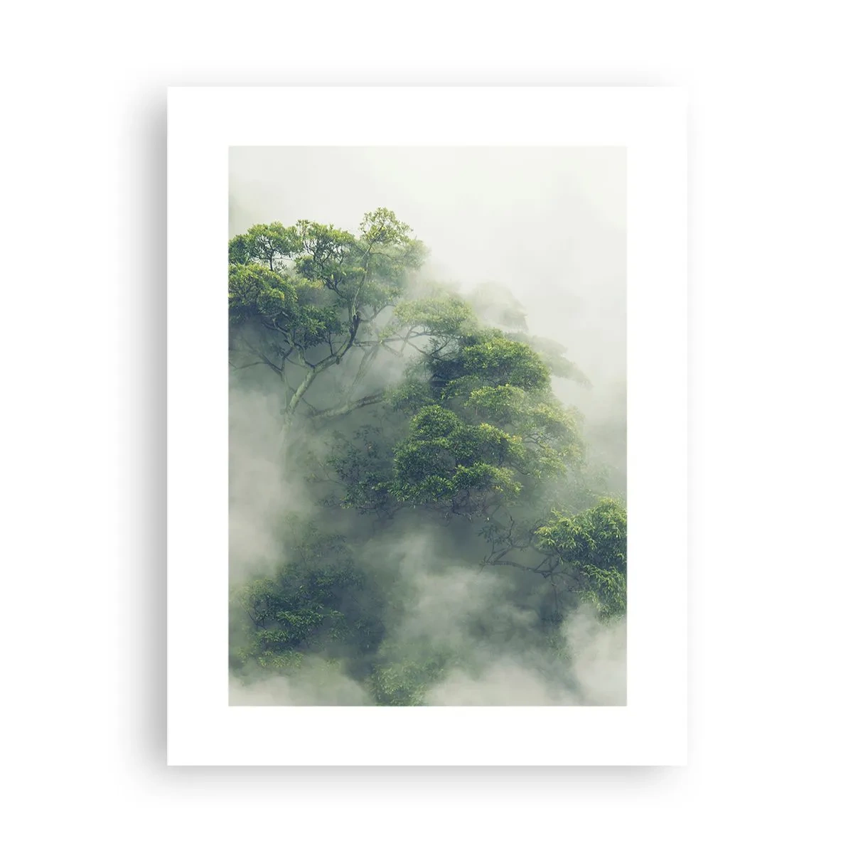 Póster - Envuelto en niebla - 30x40 cm