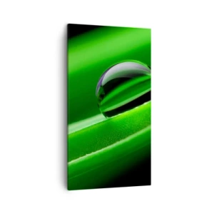 Cuadro sobre lienzo - Impresión de Imagen - La vida de cerca - 45x80 cm
