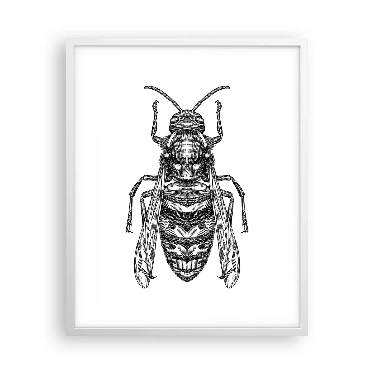 Póster en marco blanco - Desde un planeta de insectos - 40x50 cm