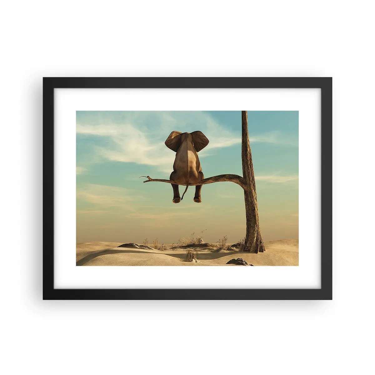 Póster en marco negro - Un nuevo punto de vista - 40x30 cm